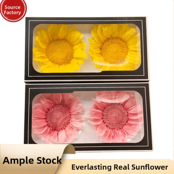 Saglabāts saulespuķes rotājums — dekoratīvs dāvanu priekšmets; materiāls: saglabāti ziedi; piemērots dāvanām skolotājiem un klasesbiedriem