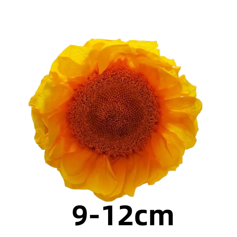 Očuvani suncokret ukrasni predmet — dekorativni dar; materijal: očuvani cvjetovi; pogodno kao dar učiteljima i kolegama