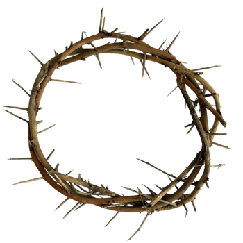 Viseći ukrasni prsten od suhih i sačuvanih cvjetova | Sorte cvijeća: ruža, ljiljan, tulipan, orhideja, klinčić; Idealan za vjenčanja, rođendane, diplome