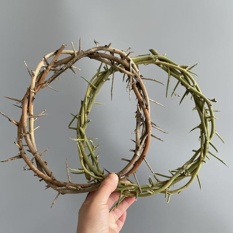 Viseći ukrasni prsten od suhih i sačuvanih cvjetova | Sorte cvijeća: ruža, ljiljan, tulipan, orhideja, klinčić; Idealan za vjenčanja, rođendane, diplome