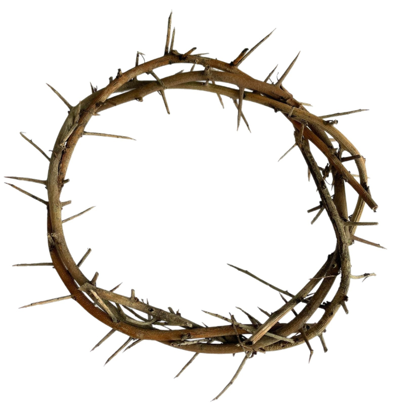 Viseći ukrasni prsten od suhih i sačuvanih cvjetova | Sorte cvijeća: ruža, ljiljan, tulipan, orhideja, klinčić; Idealan za vjenčanja, rođendane, diplome