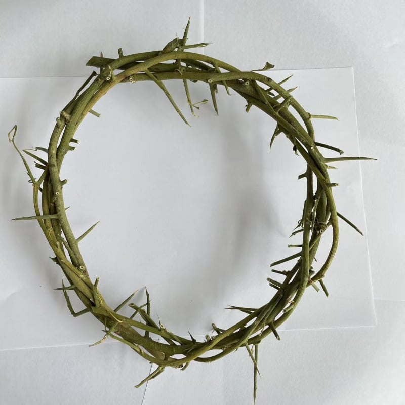 Viseći ukrasni prsten od suhih i sačuvanih cvjetova | Sorte cvijeća: ruža, ljiljan, tulipan, orhideja, klinčić; Idealan za vjenčanja, rođendane, diplome