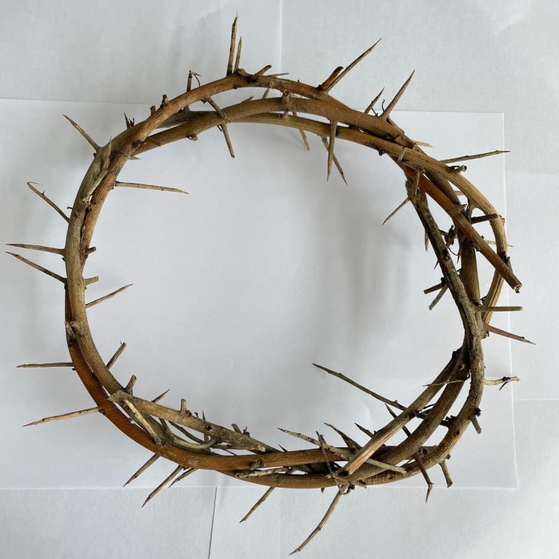 Viseći ukrasni prsten od suhih i sačuvanih cvjetova | Sorte cvijeća: ruža, ljiljan, tulipan, orhideja, klinčić; Idealan za vjenčanja, rođendane, diplome