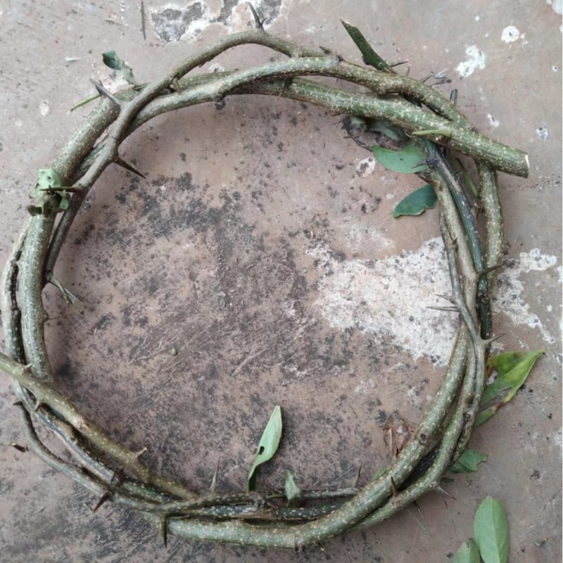 Viseći ukrasni prsten od suhih i sačuvanih cvjetova | Sorte cvijeća: ruža, ljiljan, tulipan, orhideja, klinčić; Idealan za vjenčanja, rođendane, diplome