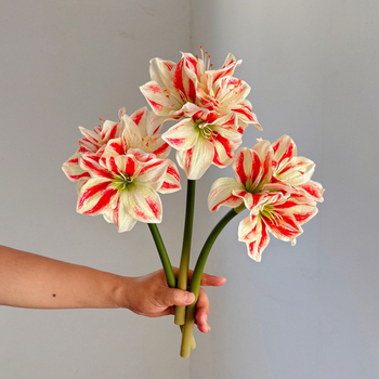 Floare artificială din mătase Amaryllis și Clivia, tulpină simplă, design embossat, varietate 1326527568, pentru nunți, exterior, recuzită pentru fotografie și decor de casă