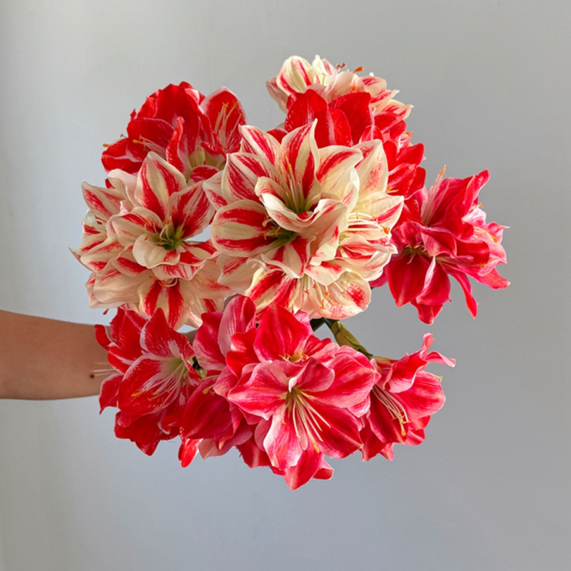 Floare artificială din mătase Amaryllis și Clivia, tulpină simplă, design embossat, varietate 1326527568, pentru nunți, exterior, recuzită pentru fotografie și decor de casă