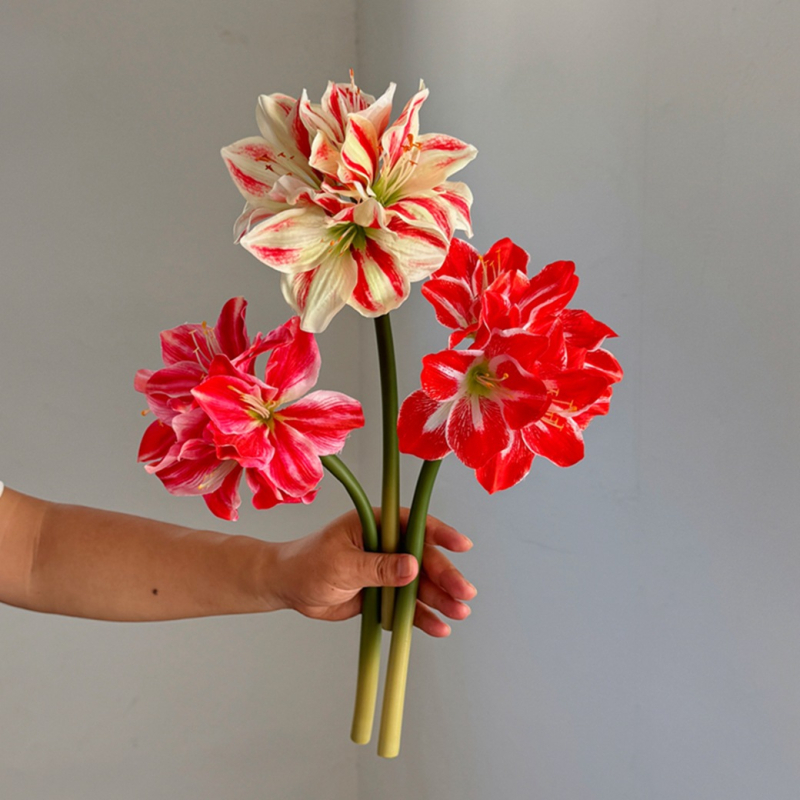Floare artificială din mătase Amaryllis și Clivia, tulpină simplă, design embossat, varietate 1326527568, pentru nunți, exterior, recuzită pentru fotografie și decor de casă