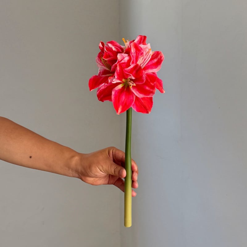 Floare artificială din mătase Amaryllis și Clivia, tulpină simplă, design embossat, varietate 1326527568, pentru nunți, exterior, recuzită pentru fotografie și decor de casă