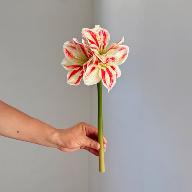 Floare artificială din mătase Amaryllis și Clivia, tulpină simplă, design embossat, varietate 1326527568, pentru nunți, exterior, recuzită pentru fotografie și decor de casă