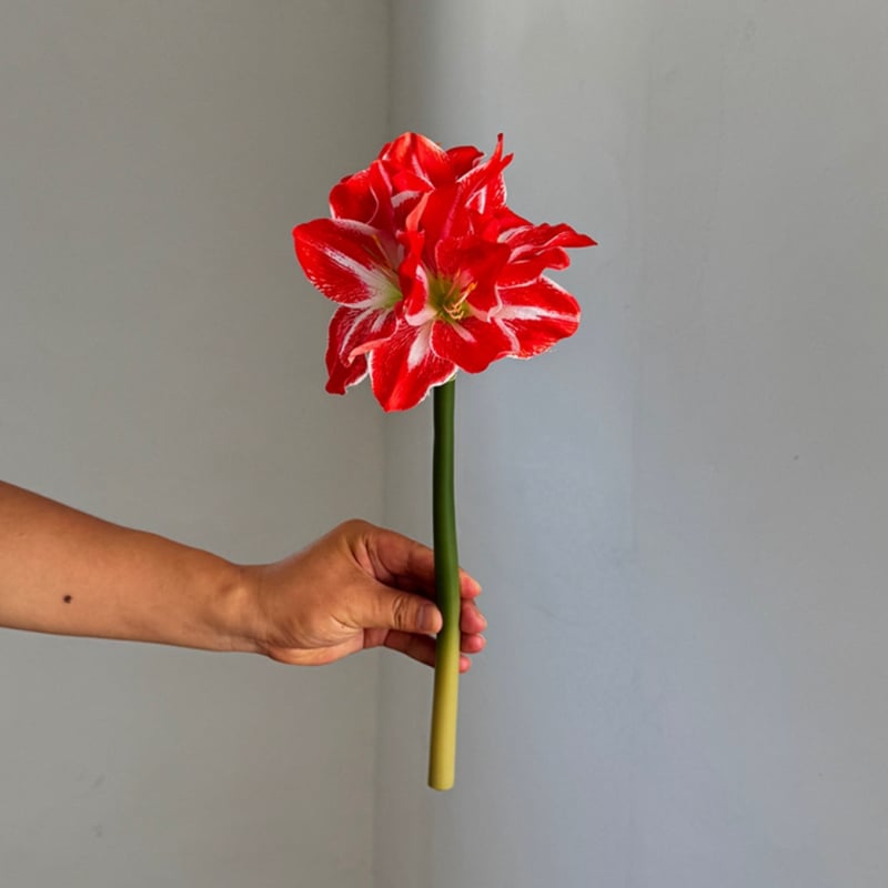 Floare artificială din mătase Amaryllis și Clivia, tulpină simplă, design embossat, varietate 1326527568, pentru nunți, exterior, recuzită pentru fotografie și decor de casă