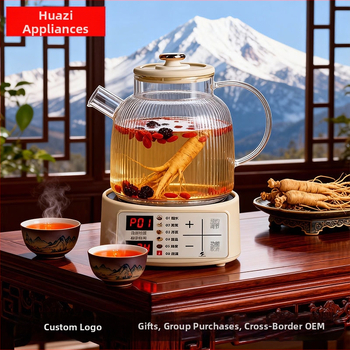 HY-01 Zdravstveni lonac za čaj: stakleno tijelo, unutarnji spremnik od borosilikatnog stakla, kapacitet 1,5–2 L, 220 V, 400–500 W (1,5–2 L, 220 V, 400–500 W, HY-01)