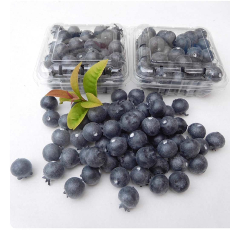 Имитационен модел на боровинка – реквизит за фотосесия: изкуствени плодове и зеленчуци, малки плодови играчки; Материал: балон, Изработка: блистер, Без внос