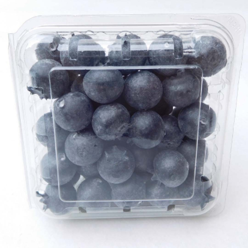 Имитационен модел на боровинка – реквизит за фотосесия: изкуствени плодове и зеленчуци, малки плодови играчки; Материал: балон, Изработка: блистер, Без внос