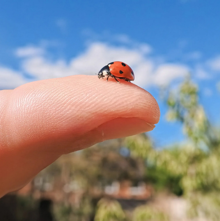 Shadow Stone Go Ultra zaostrovací objektív pre Insta360 Go Ultra – štandardná konfigurácia, Materiál: pozrite si detaily, Záruka: tri záruky