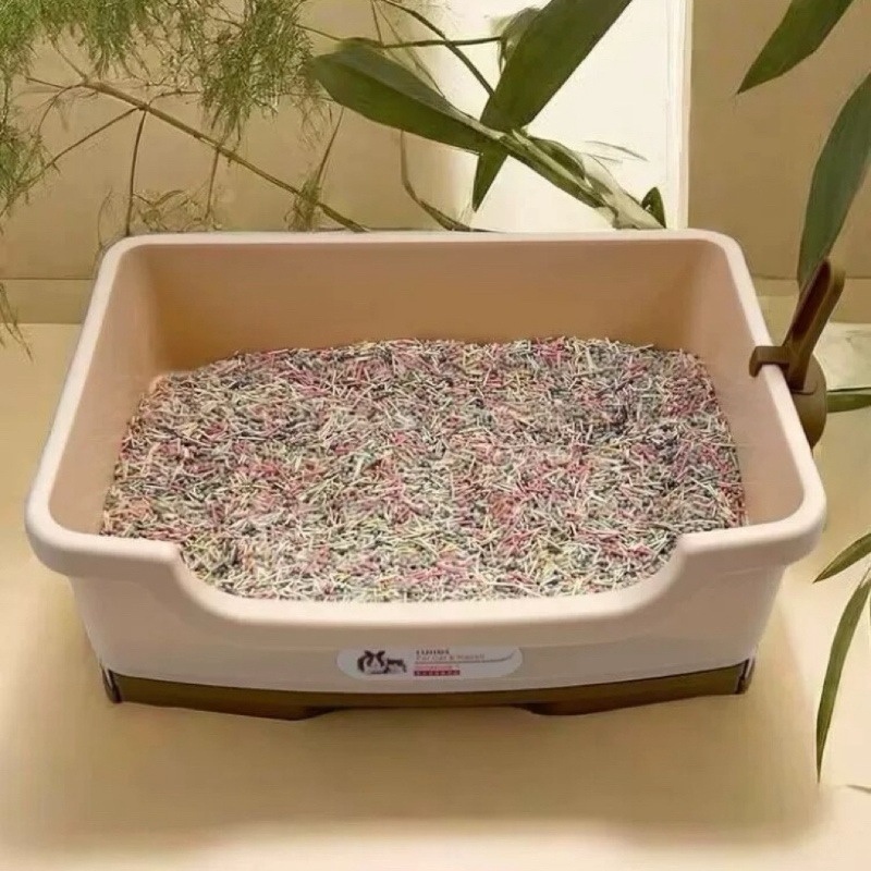 Kutija za mačku s dvostrukim ladicama, plastična, 5 komada, porijeklo Kina