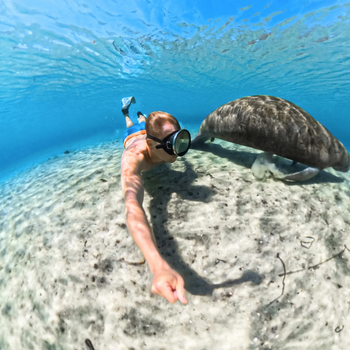 Carcasă subacvatică pentru Insta360 X5 — Shadowstone husă protectivă rezistentă la apă (Plastic, Silicon impermeabil, Oțel inoxidabil)