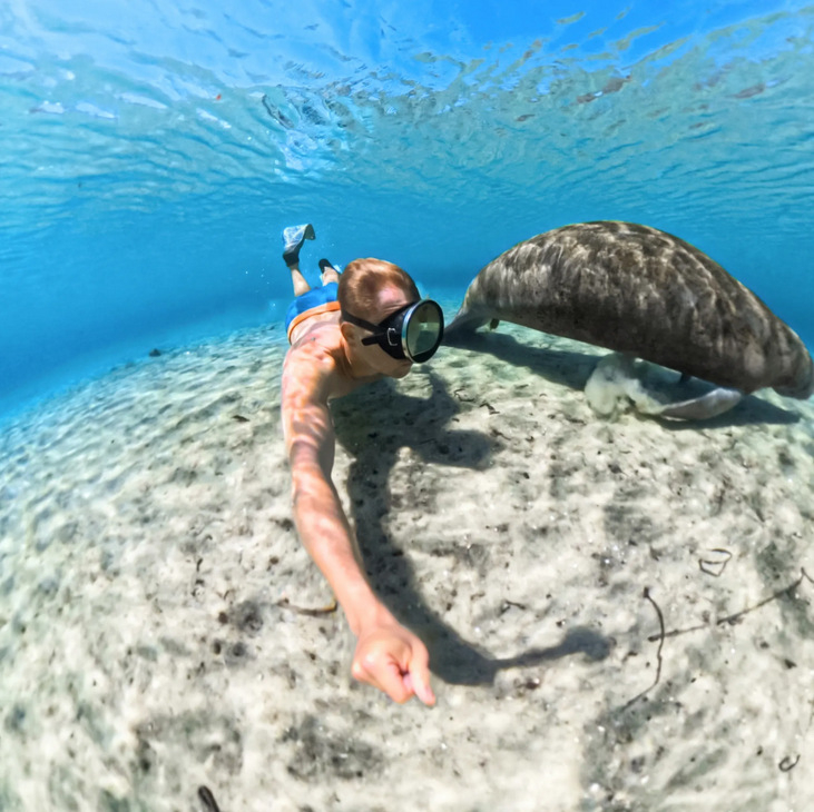 Carcasă subacvatică pentru Insta360 X5 — Shadowstone husă protectivă rezistentă la apă (Plastic, Silicon impermeabil, Oțel inoxidabil)