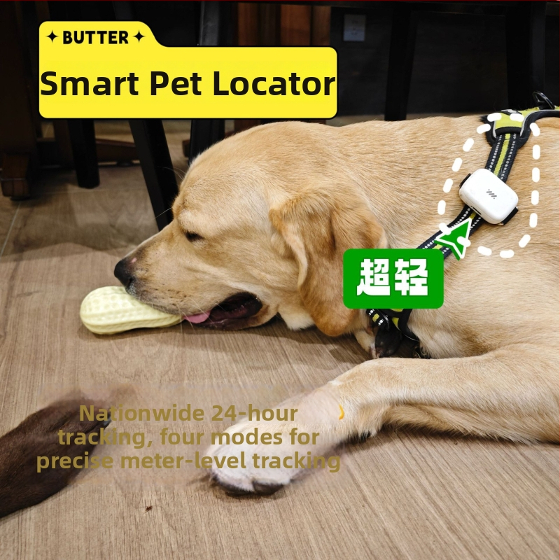 Beidou GPS kaklasaite mājdzīvniekiem, atrašanās vietas noteikšana, pret zaudēšanu, ūdensizturīgs, pret manipulēšanu, saderīgs ar iOS