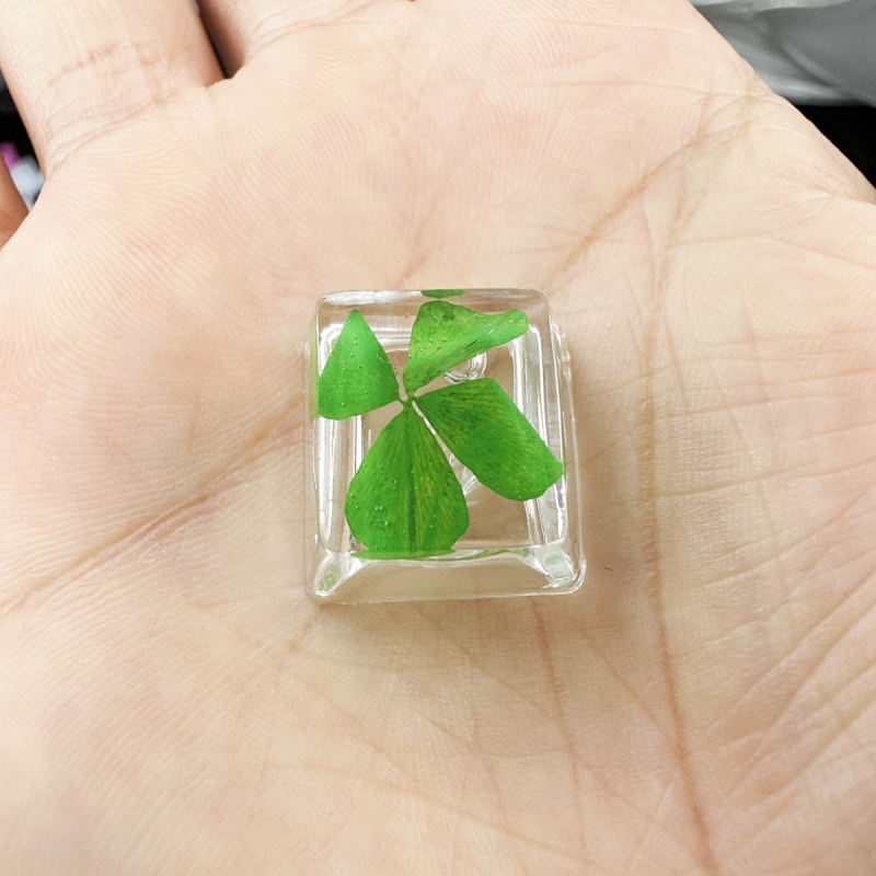 KK-Cokio XH008 kapica tipke od smole sa stvarnim cvijetom četverolisnog klina za mehaničke tipkovnice s križnim osovinama, ručno izrađena, prilagodljiva