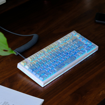 Set de capace PBT pentru taste, pentru tastaturi mecanice, gravate pe lateral, imprimare prin sublimare, capace transparente, compatibilitate universală