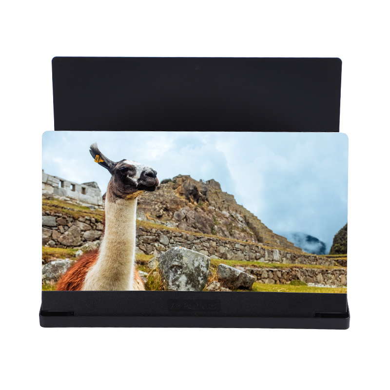 Lupa de mărire pentru ecranul telefonului cu suport – Lazy bracket, Model F9X, ABS, Compatibilitate universală