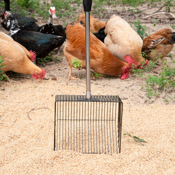 Lopata za gnoj peradi od nehrđajućeg čelika s četverostrukim produženim držačem za čišćenje kokošinjca