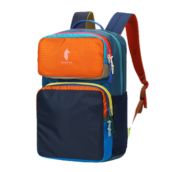 Rucsac Alpaca Unisex pentru călătorii și drumeții (Buzunar laptop 14 inch, Nailon, Capacitate sub 20 L, Model geometric)