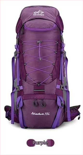 Planinarski ruksak, velik kapacitet, vodootporan, zaštita leđa, prozračan, ergonomski stražnji panel