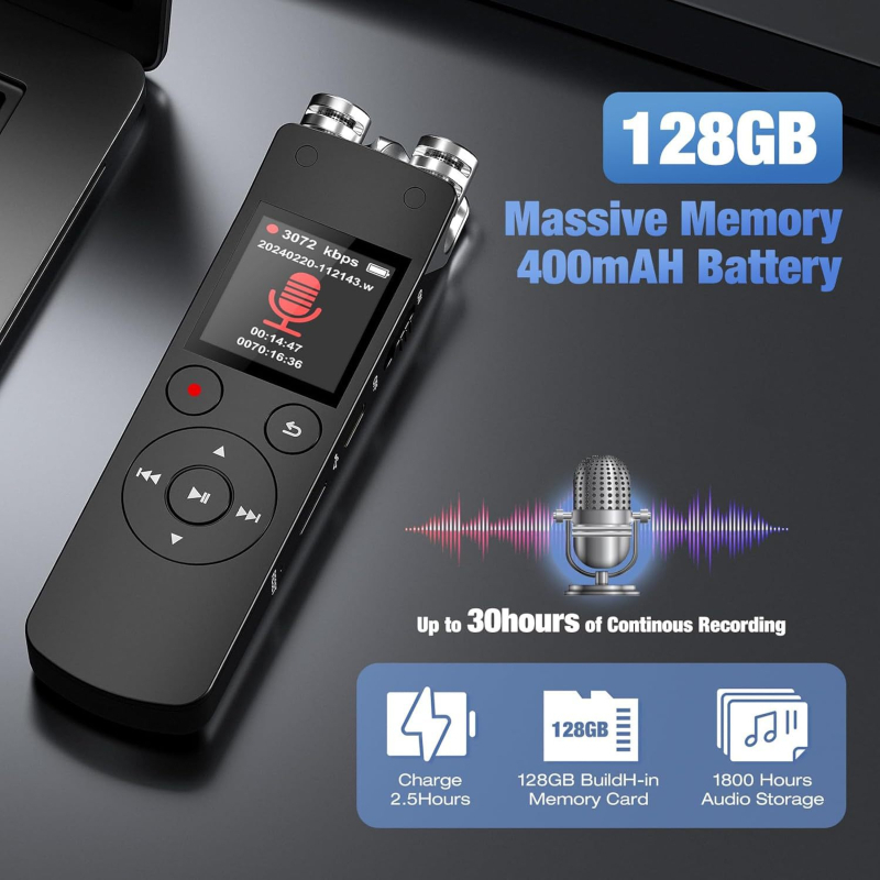 N15 zapisno pero, WAV format, inteligentni način snimanja, USB 2.0, LCD zaslon, dvostruki kondenzatorski mikrofon