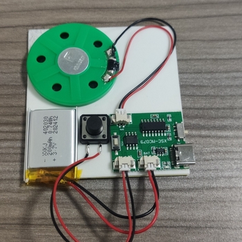 USB MP3 гласов модул за плюшени играчки - XSC-MP3-002, в кутия, персонализирани мостри