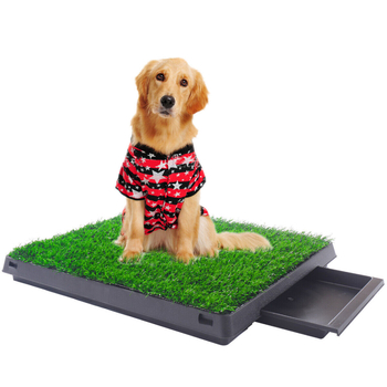 Psia toaleta s trávou (Kód produktu: Pet toilet; Materiál: Plast; Dovoz: Nie)