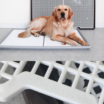 Daska za pseću WC ploču — Materijal: Svila cvijet; Marka: Drugo; Uvoz: Ne