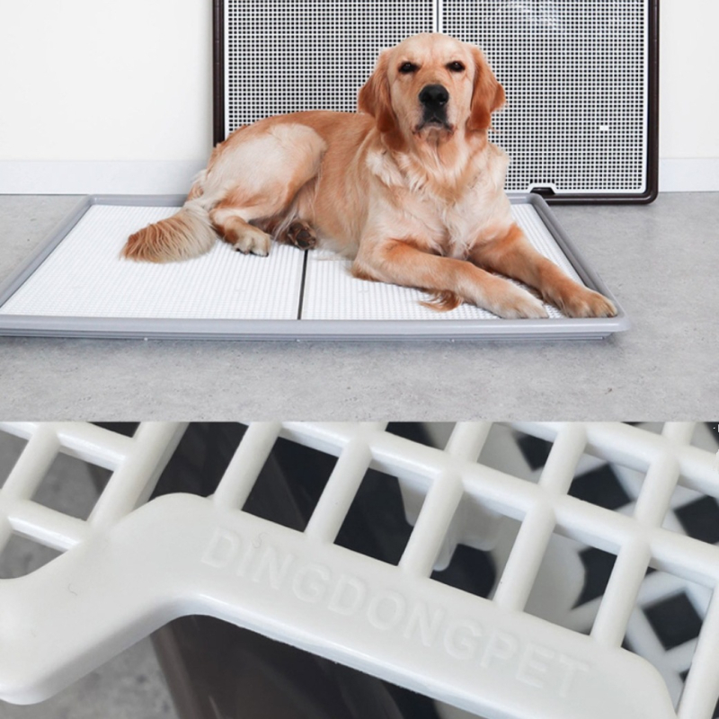 Daska za pseću WC ploču — Materijal: Svila cvijet; Marka: Drugo; Uvoz: Ne