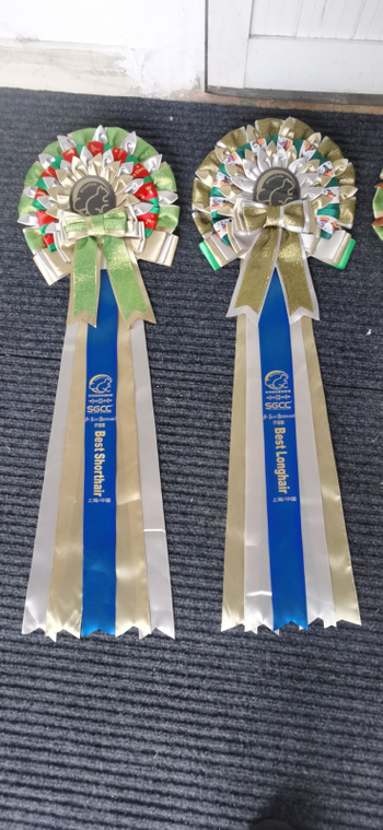 Tinplate χειροποίητο κορσάζ σήμα, προσαρμόσιμο, κρεμαστό διακοσμητικό, μοντέρνο μινιμαλιστικό στυλ