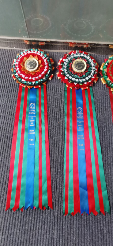 Tinplate χειροποίητο κορσάζ σήμα, προσαρμόσιμο, κρεμαστό διακοσμητικό, μοντέρνο μινιμαλιστικό στυλ