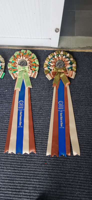 Tinplate χειροποίητο κορσάζ σήμα, προσαρμόσιμο, κρεμαστό διακοσμητικό, μοντέρνο μινιμαλιστικό στυλ