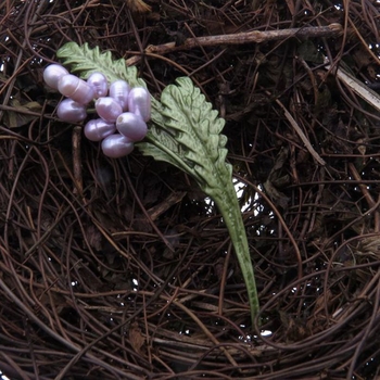 Virágmotívumos corsage, ötvözet alap, természetes gyöngyök, lakkozott felület, retro uniszex stílus