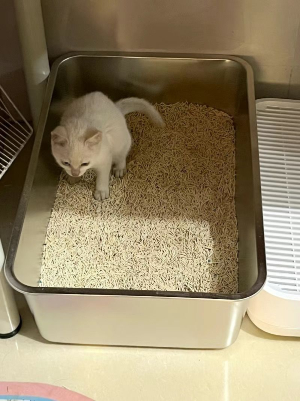 Box na mačiu stelku - otvorený vrch, proti rozstrekovaniu, PVC materiál