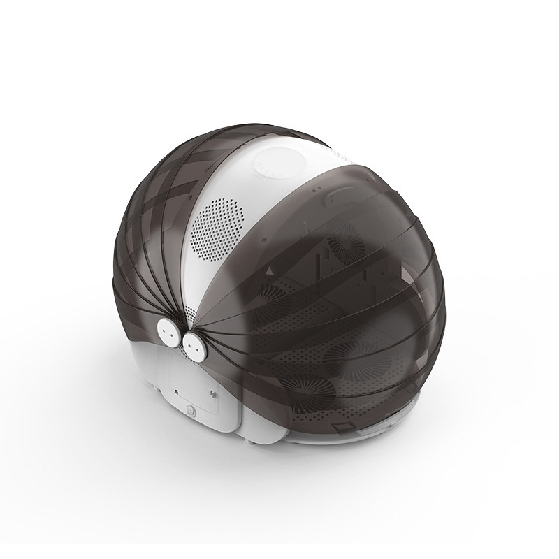 Saliekams mājdzīvnieku žāvētājs sušu kastē, piemērots kaķiem un mazajiem suņiem, modeļa XYhongganxiang, 1000–1199W, 110V, tipa nemainīgs rokturis, pārkaršanas aizsardzība