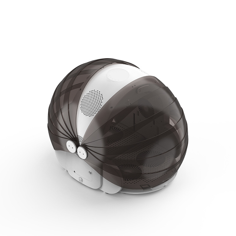 Saliekams mājdzīvnieku žāvētājs sušu kastē, piemērots kaķiem un mazajiem suņiem, modeļa XYhongganxiang, 1000–1199W, 110V, tipa nemainīgs rokturis, pārkaršanas aizsardzība