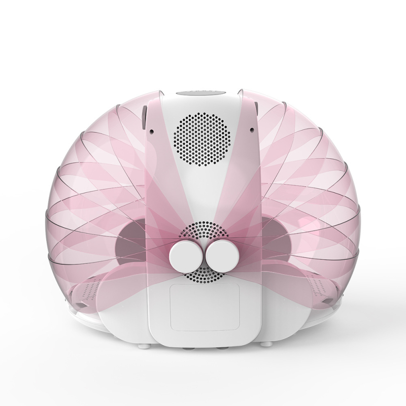 Saliekams mājdzīvnieku žāvētājs sušu kastē, piemērots kaķiem un mazajiem suņiem, modeļa XYhongganxiang, 1000–1199W, 110V, tipa nemainīgs rokturis, pārkaršanas aizsardzība