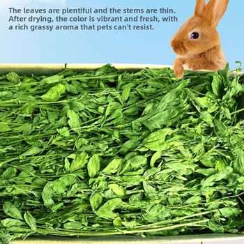 Žāvēta lucernas zāle maziem mājdzīvniekiem – 1 kg, Good Alfalfa Source zīmols, mājdzīvnieku barība