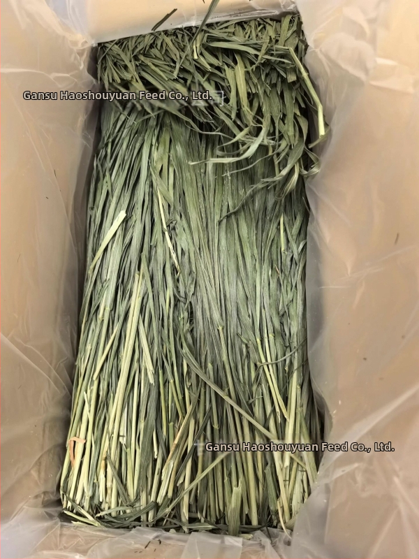 Žāvēta lucernas zāle maziem mājdzīvniekiem – 1 kg, Good Alfalfa Source zīmols, mājdzīvnieku barība