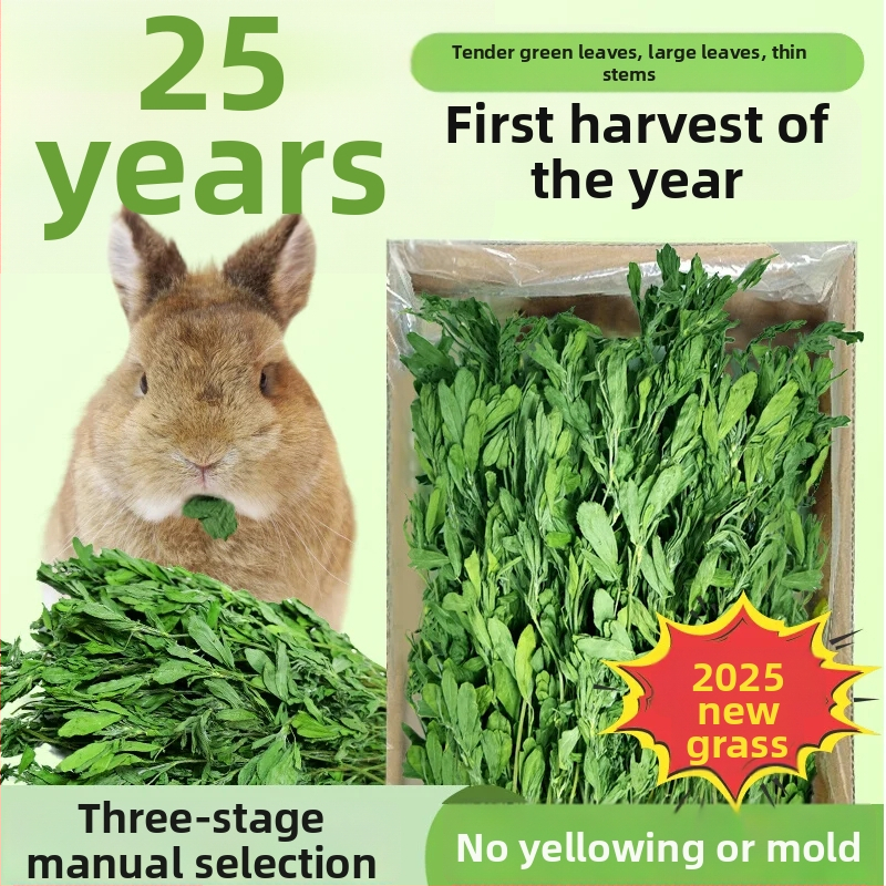 Žāvēta lucernas zāle maziem mājdzīvniekiem – 1 kg, Good Alfalfa Source zīmols, mājdzīvnieku barība