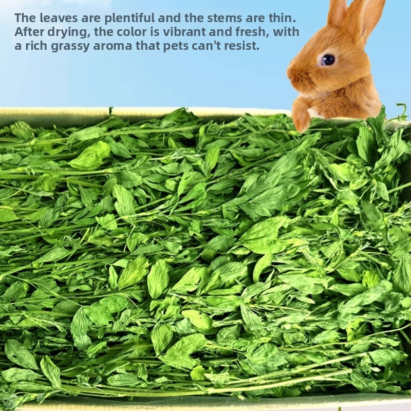 Žāvēta lucernas zāle maziem mājdzīvniekiem – 1 kg, Good Alfalfa Source zīmols, mājdzīvnieku barība