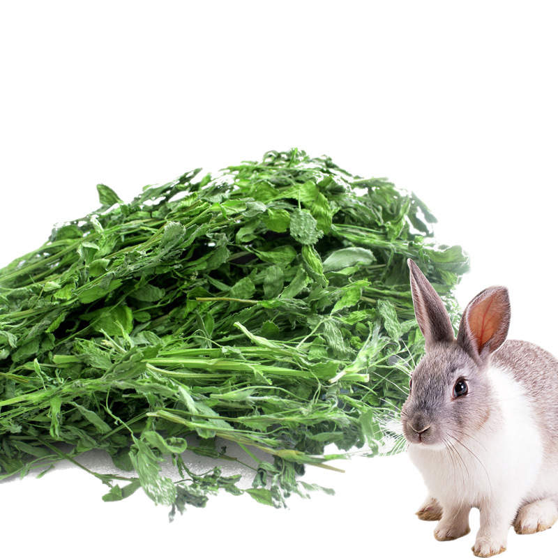 Žāvēta lucernas zāle maziem mājdzīvniekiem – 1 kg, Good Alfalfa Source zīmols, mājdzīvnieku barība