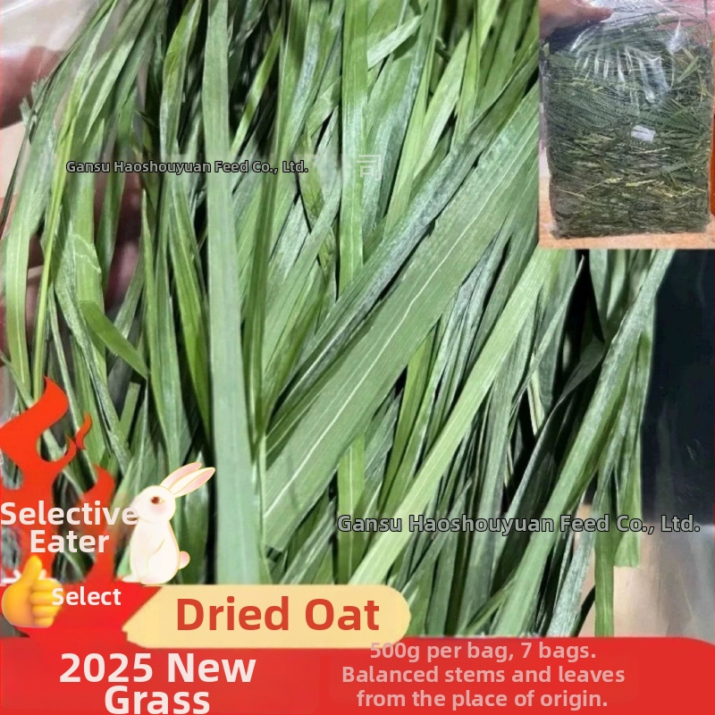 Žāvēta lucernas zāle maziem mājdzīvniekiem – 1 kg, Good Alfalfa Source zīmols, mājdzīvnieku barība