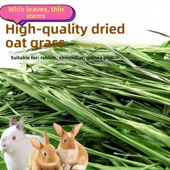 Sausa barība trušiem un maziem grauzējiem – vispārējai lietošanai; 1 kg kastē; Izcelsme: Gansu; Produkta kategorija: Mājdzīvnieku barība