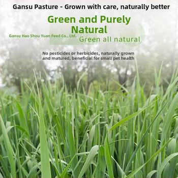 Sausa barība trušiem un maziem grauzējiem – vispārējai lietošanai; 1 kg kastē; Izcelsme: Gansu; Produkta kategorija: Mājdzīvnieku barība