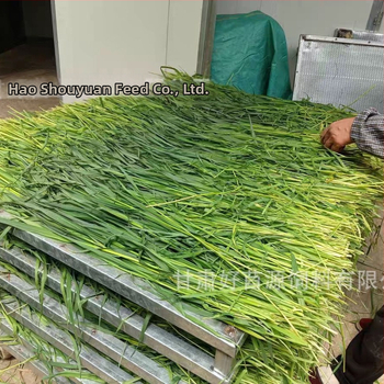 Sausa barība trušiem un maziem grauzējiem – vispārējai lietošanai; 1 kg kastē; Izcelsme: Gansu; Produkta kategorija: Mājdzīvnieku barība